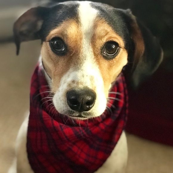 Meet your Posher, J - Picture 1 of 1